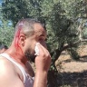 Trois citoyens blessés lors d'une attaque de colons à l'est de Salfit