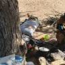 Fuyant la mort vers la famine : Une semaine difficile pour les déplacés du Darfour au Tchad