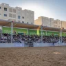 Tens of Thousands Participate in the Conclusion of the "Rawabi Palestine Championship for the Beauty of Purebred Arabian Horses" in Rawabi City