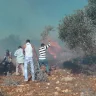 الاحتلال يحرق عشرات أشجار الزيتون في دير قديس غرب رام الله