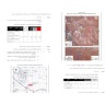 L'occupation informe de la confiscation de terres à Deir Debwan et de la construction d'une route militaire à l'est de Ramallah