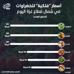 أسعار "فلكية" للخضراوات في شمال قطاع غزة اليوم