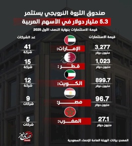صندوق الثروة النرويجي يستثمر 5.3 مليار دولار في الأسهم العربية