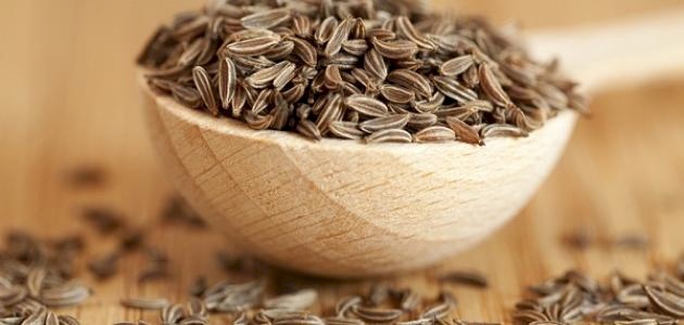 فوائد الكراوية للرضع