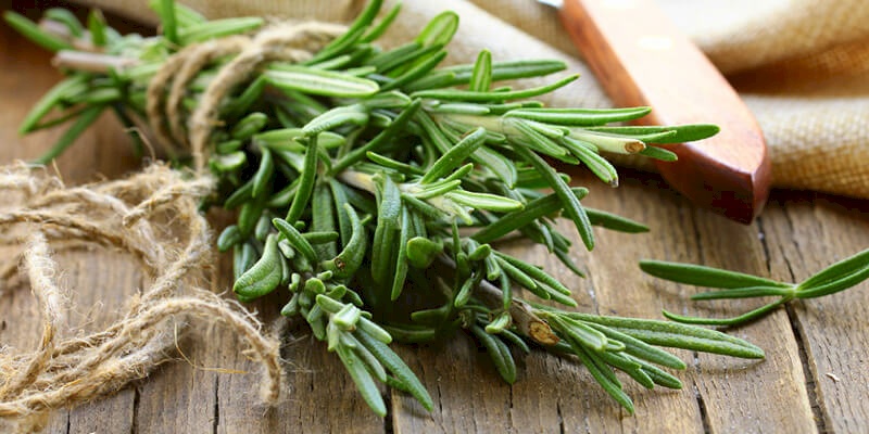 علاج الكلى بالأعشاب الطبيعية