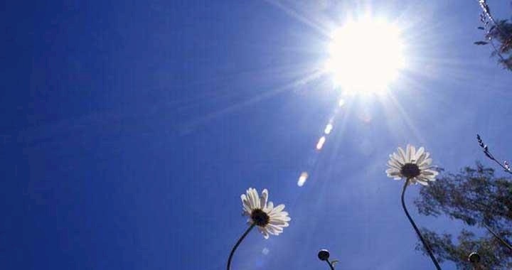 الطقس: انخفاض على درجات الحرارة 