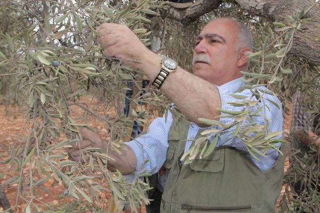 الحكومة تنعى محافظ طوباس