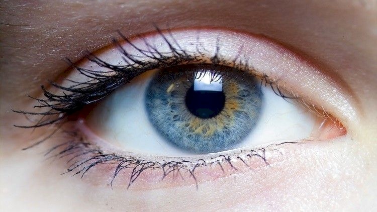 عيوننا تحوي بكتيريا تحميها من الفيروسات الخطيرة!