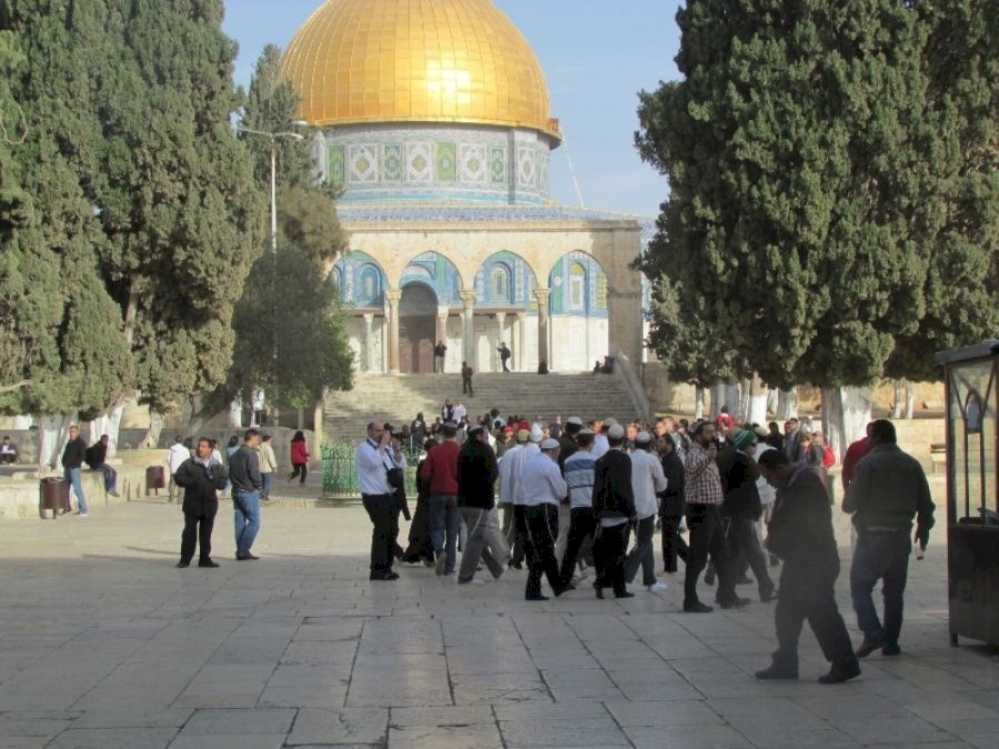 مستوطنون يُجدّدون اقتحاماتهم الاستفزازية للأقصى