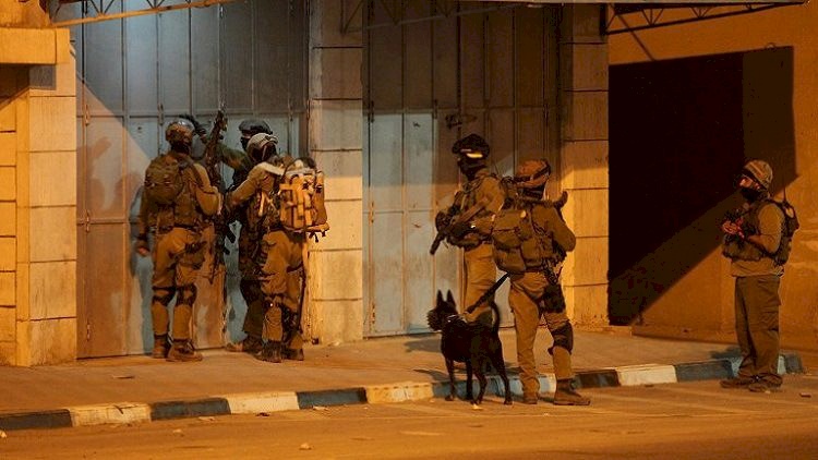 الاحتلال يعتقل طفلين شمال الخليل