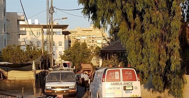 الاحتلال يعتقل مواطنين من عائلة شماسنة ومتضامنة بعد الاعتداء عليهم