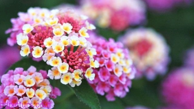 انخفاض طفيف على درجات الحرارة اليوم