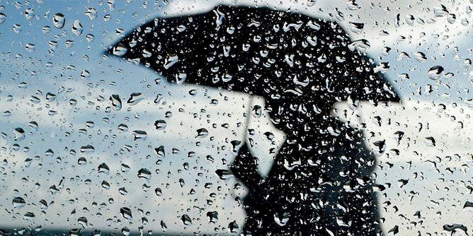 الأمطار تعود مُجدداً 