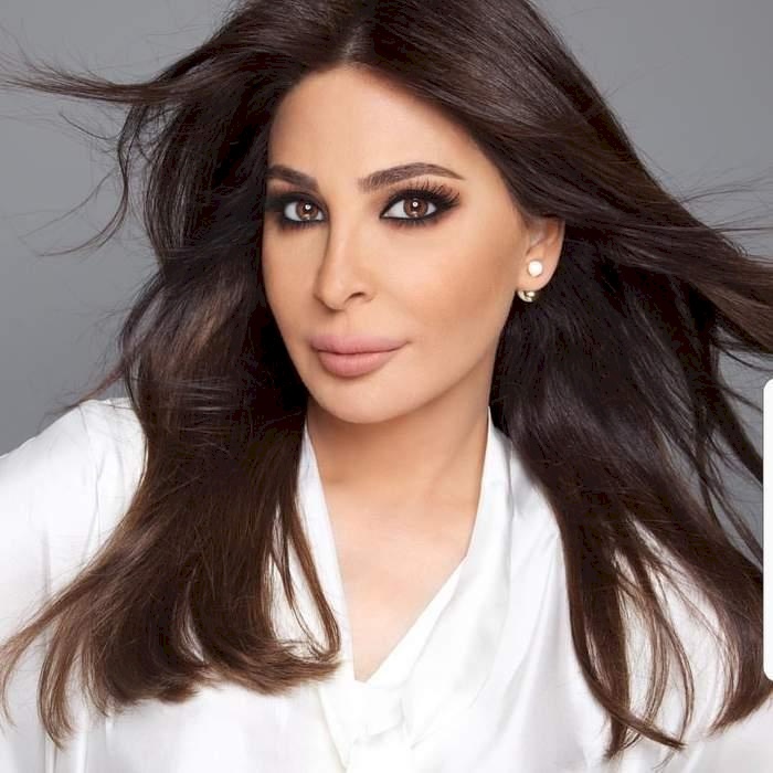 بالفيديو - اليسا تغازل مشترك "ذا فويس"
