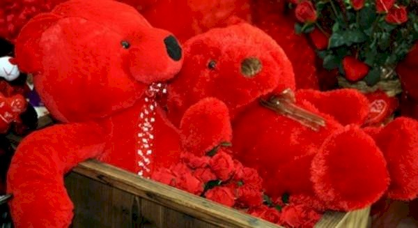 ما علاقة "الدب الاحمر" بالفالنتاين؟
