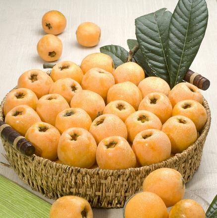 الأسكادنيا: طعم لذيذ و فوائد صحية