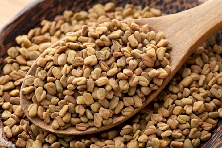 الحلبة وزنها ذهب.. لماذا ؟