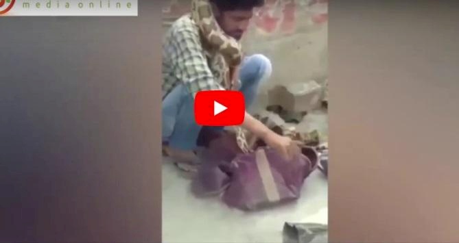 فيديو/ لحظة خنق ثعبان لساحر أمام الجمهور