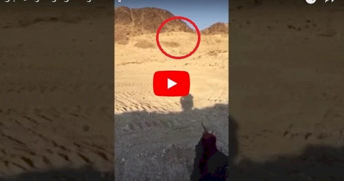 فيديو/ شاب يطلق النار على اسطوان غاز.. ماذا حدث؟