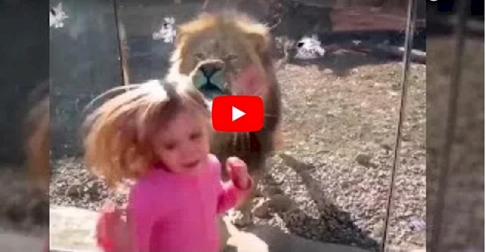 فيديو/ لم يكن الزجاج قوياً.. فماذا حدث؟