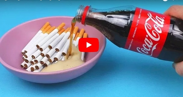شاهد/ ابتكارات و تجارب عجيبة سوف تبهرك
