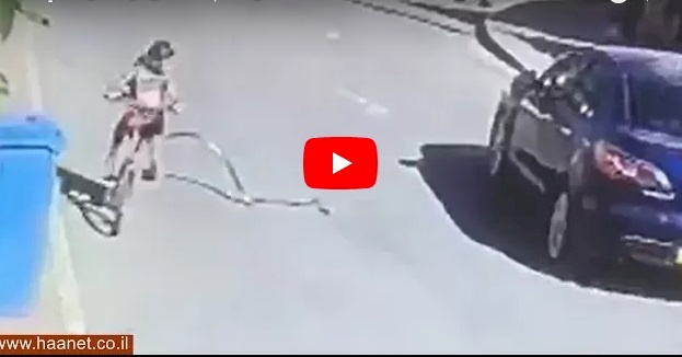 شاهد/ كاميرا ترصد أفعى تهاجم طفلة