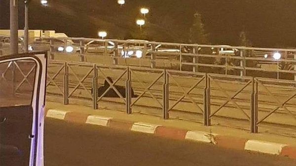 قرار بالإفراج عن الاسيرة الشحاتيت