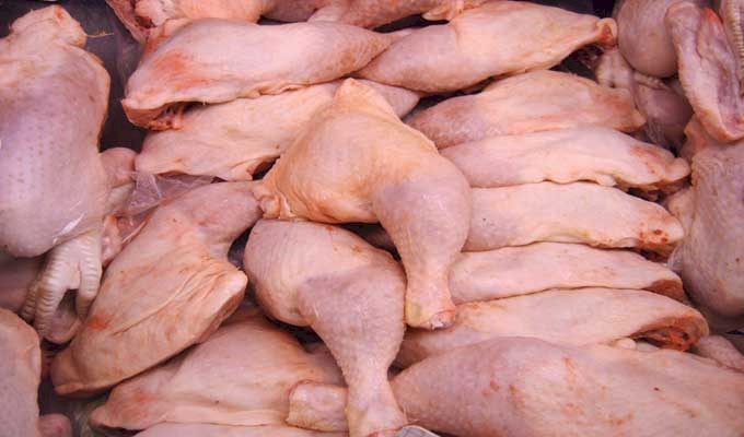 إتلاف دجاج في رام الله