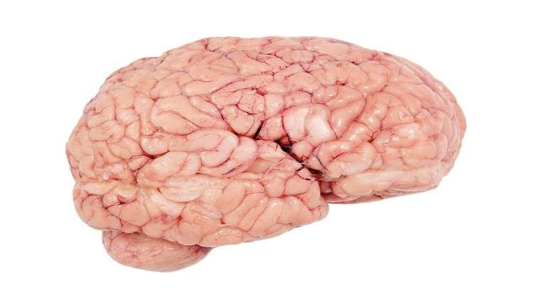 عادات "قاتلة" تدمر خلايا الدماغ