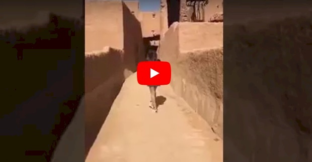 شاهد/ فتاة تتجول بتنورة قصيرة في الرياض ! 