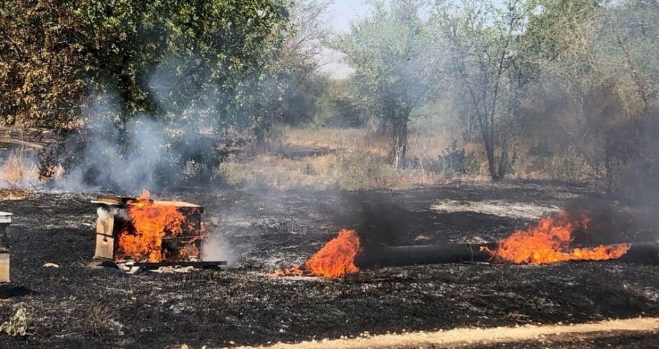 13 حريقا في غلاف غزة منذ الصباح بفعل البالونات الحارقة