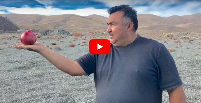 فيديو/ مجنون السلاح القناص !