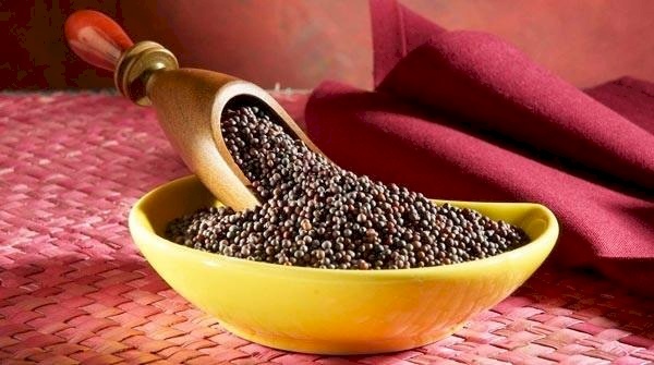 لهذه الأسباب يجب أن تتناول حبوب الخردل الخام يومياً
