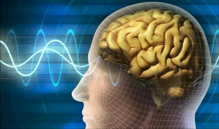 المجالات الكهرومغناطيسية تؤذي الذاكرة