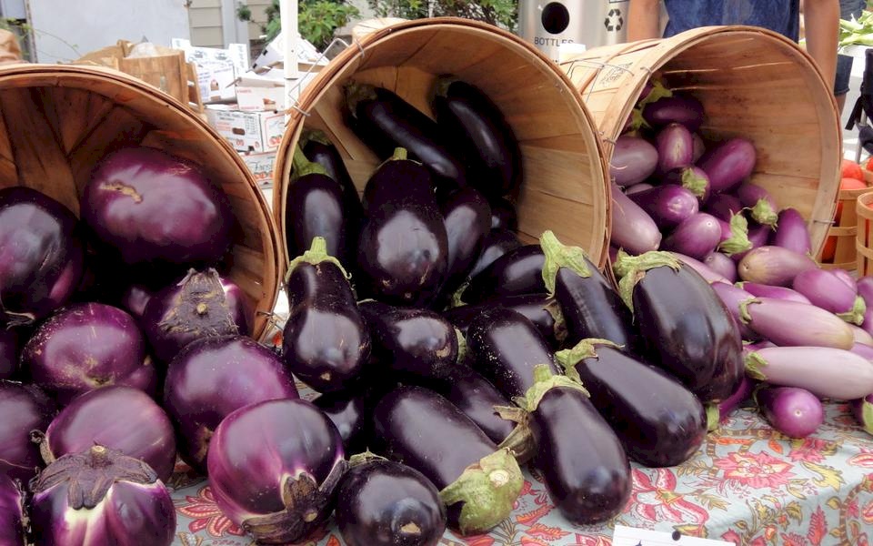 كيف يقي الباذنجان من السرطان ويخفض الوزن الزائد؟