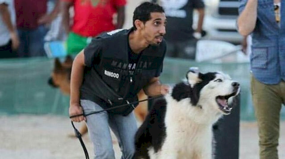 قصة موجعة.. سعودي تفنن بإيذاء القطط تحول لمنقذ حيوانات