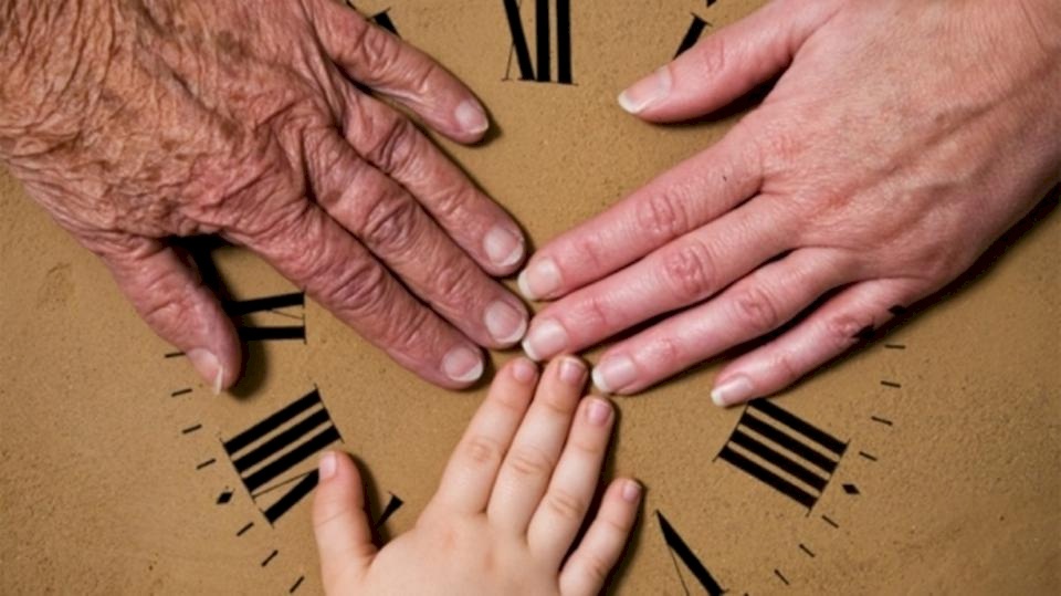 12 معلومة لا تعرفها عن "سنوات العمر الذهبية"