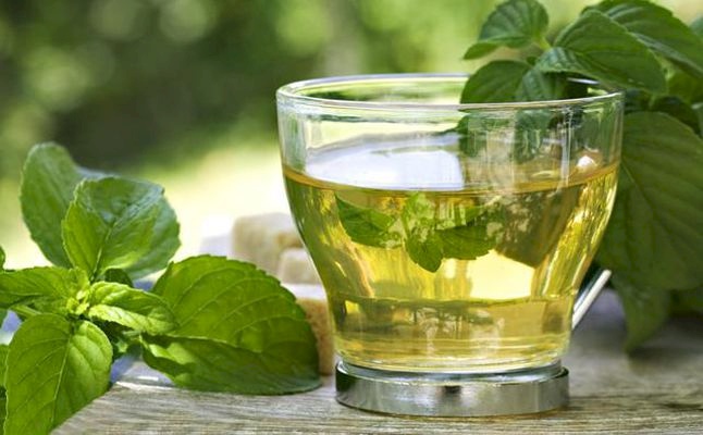 فوائد شرب النعناع كثيرة 