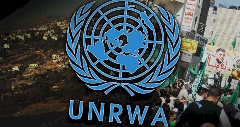 159 عالما وباحثاً يحثون حكوماتهم بالتضامن مع الأونروا