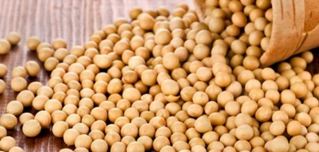ما علاقة الصويا بأعراض سن اليأس؟