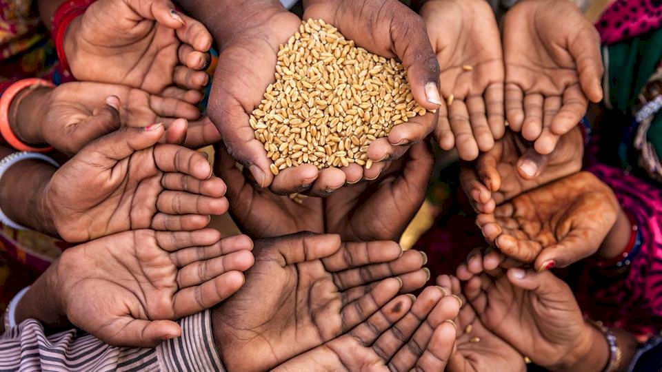 مليون طن مخبوزات بالقمامة و815 مليون جائع في الشوارع!
