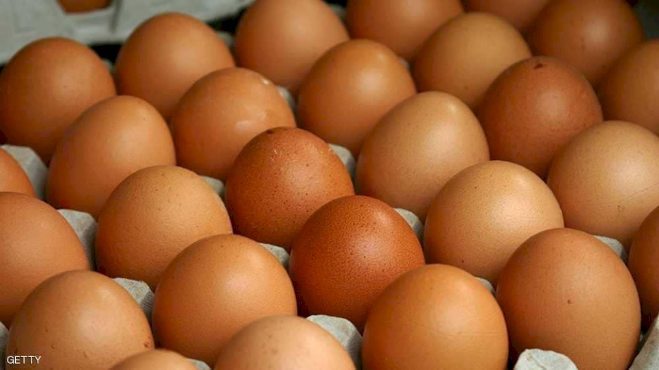 6 بيضات أسبوعيا "تجنب الموت المبكر"