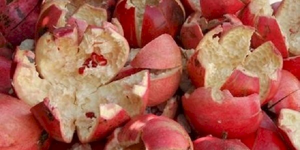 ما علاقة قشر الرمان بسرطان الثدي؟