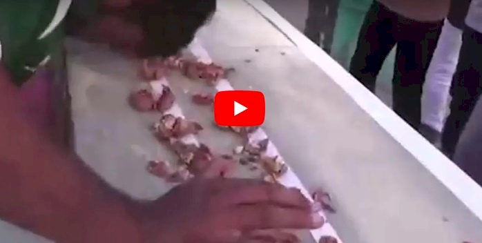 بالفيديو.. باكستاني يحطم رقما قياسيا بقوة رأسه