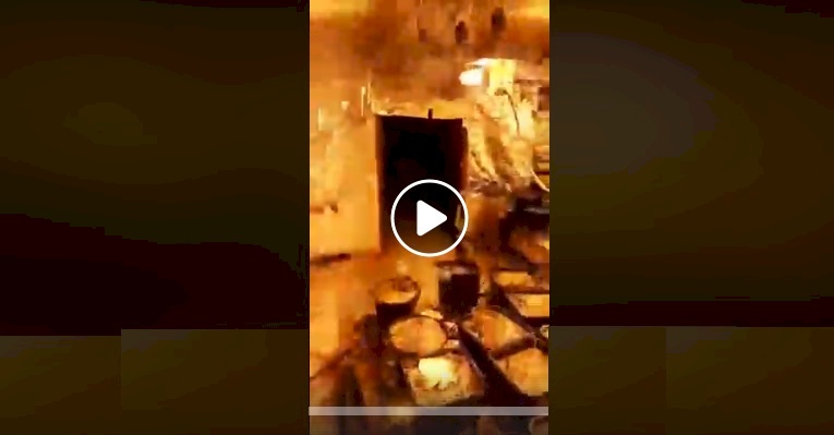 فيديو.. معلومات جديدة عن مشتل المارغوانا برام الله