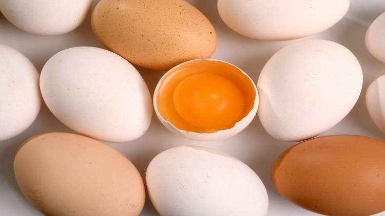 أسباب تدعو لتناول بيض الدجاج بانتظام!