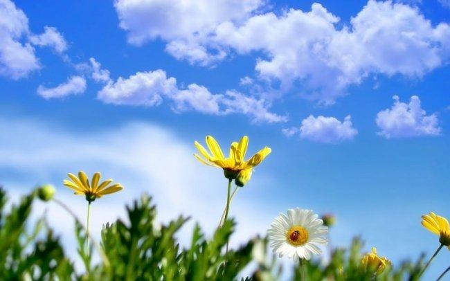 حالة الطقس: ارتفاع على درجات الحرارة اليوم وغدا