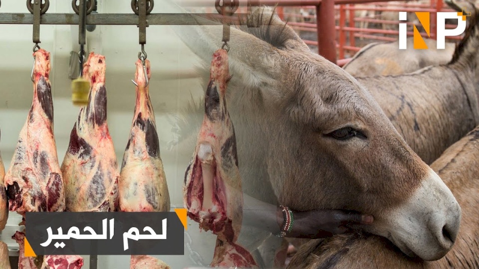 لحوم الحمير والكلاب هاجس يطارد هذا البلد العربي !