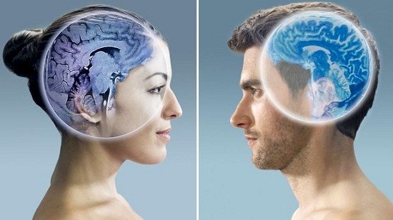 هل يختلف دماغ الرجل عن دماغ المرأة؟