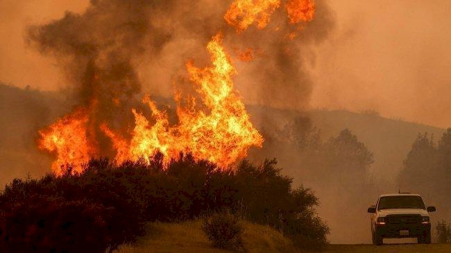 83 قتيلًا بحرائق غابات كاليفورنيا الأمريكية